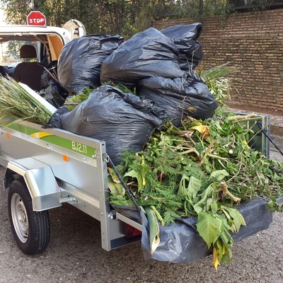 Recogida de podas en urbanizaciones