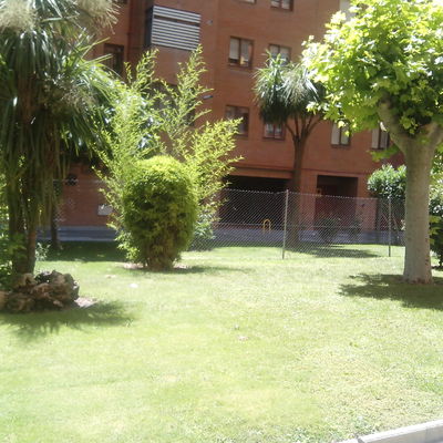 jardin