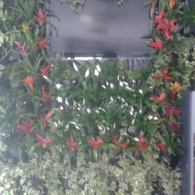Jardín vertical