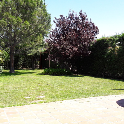 Pradera en perfecto estado 