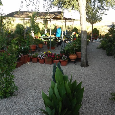 Terraza