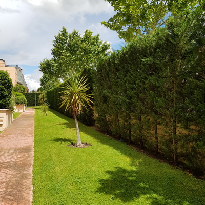 Jardin