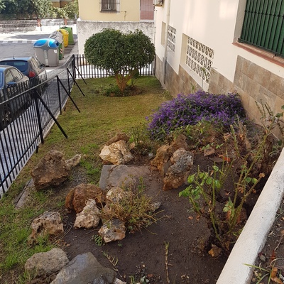 Llega la época de poda y todos nuestros jardines estan al día