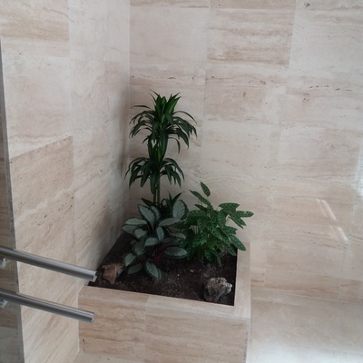 Jardineras