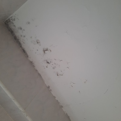 TECHO BAÑO