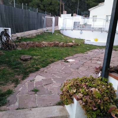 antes 1