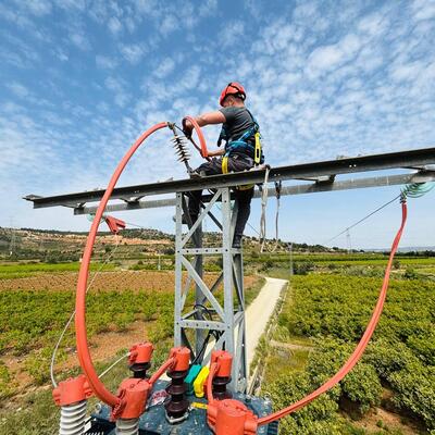 INSTALACIÓN DE SISTEMA DE PROTECCIÓN DE AVIFAUNA