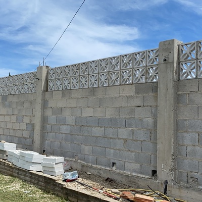 Colocación de celocia sobre muro