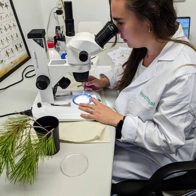 laboratorio vectobal