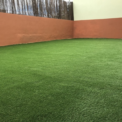 Patio exterior