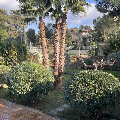 Jardin