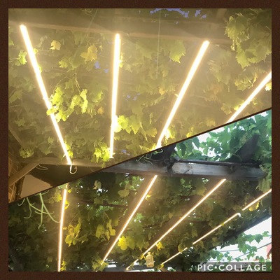 Instalación LED en pérgola