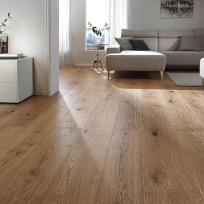 tarimas