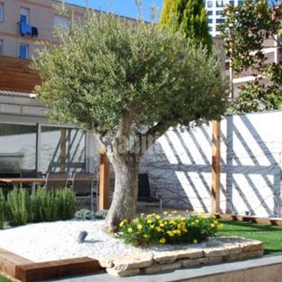 Detalle jardin