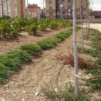 Jardineros, Mantenimiento Piscinas, Riego Automático