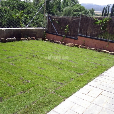 Diseño de jardines