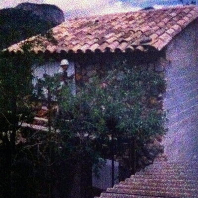 Alaro