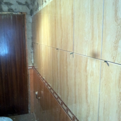 BAÑO Y ASEO AVILES