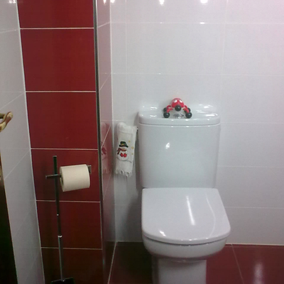 baño3