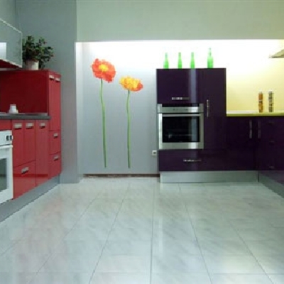 Cocinas actuales