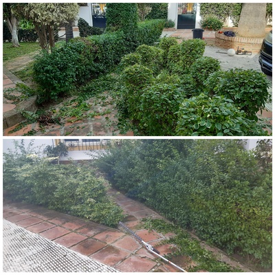 Recorte de molduras de setos