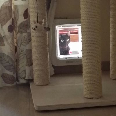 COLOCACION DE UNA GATERA