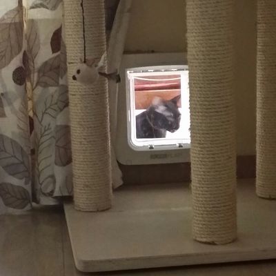 COLOCACION DE UNA GATERA