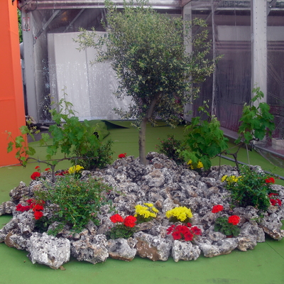 Creacion de rocalla