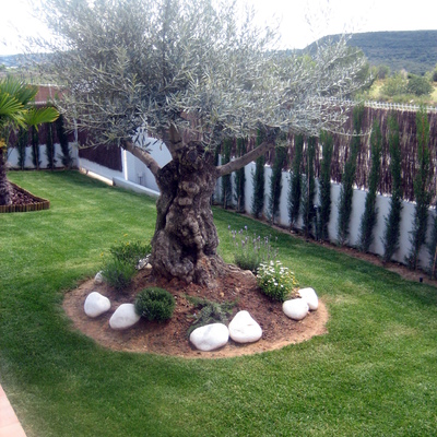 CREACION Y MANTENIMINETO DE JARDINES