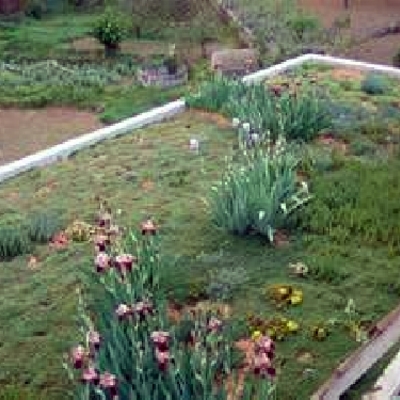 Cubierta ecológica