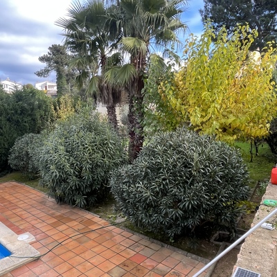 Jardin