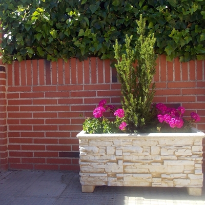Decoración con macetas
