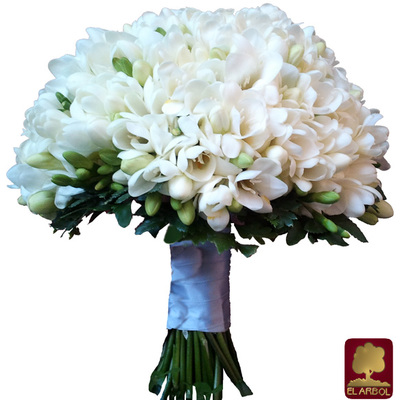 Decoracion 