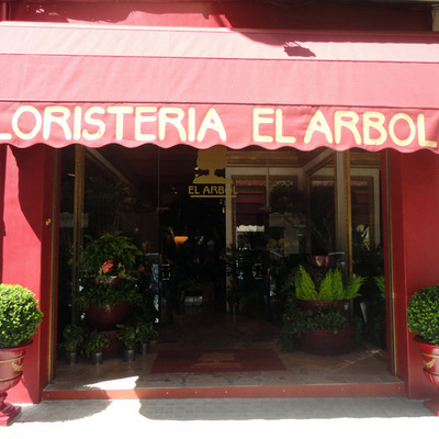 Decoracion 