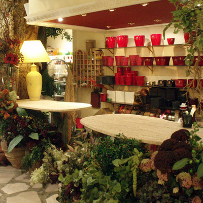 Decoracion 