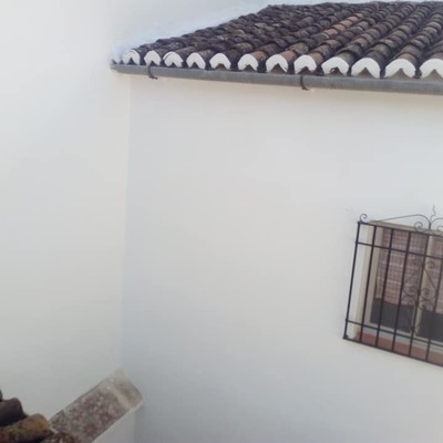 Limpieza de tejado y fachada pintada
