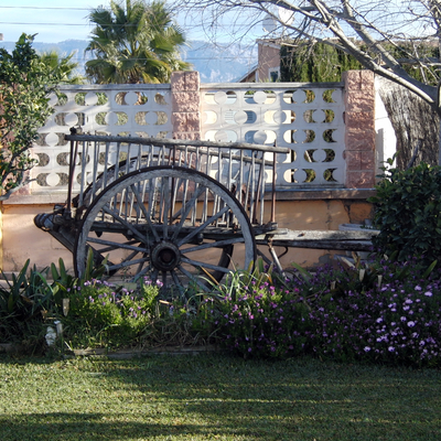 Detalle vista delantera del jardin