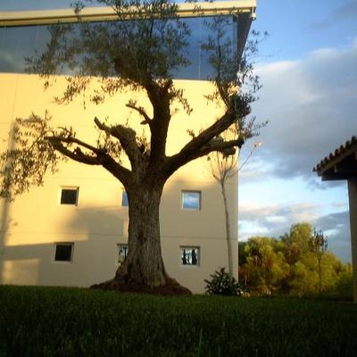 DISEÑO Y EJECUCIÓN JARDINES Y EDIFICIOS