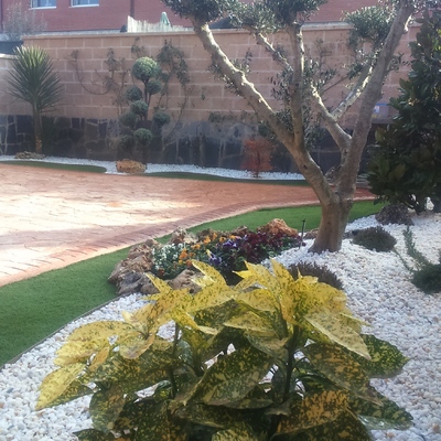 Pequeño jardín
