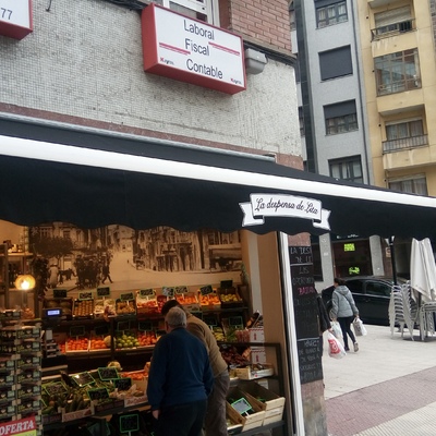 Bambalina Impresa para Frutería en Oviedo
