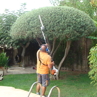 jardineria