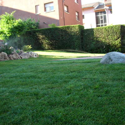 Tepes de césped