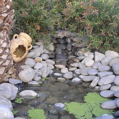 FUENTE NATURAL Y DECORACION