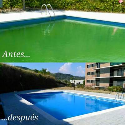 recuperando piscina y puesta a punto. 