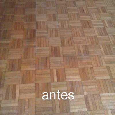 Parquelita