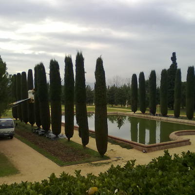 PODA DE ALTURA