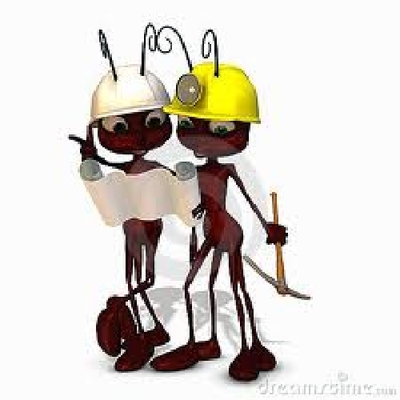hormigas trabajadoras