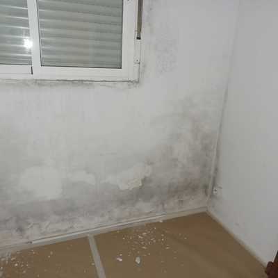 Arreglar humedades