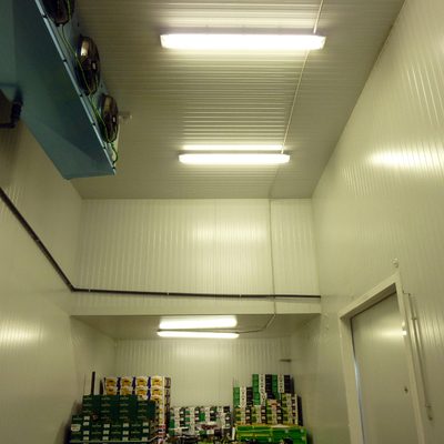 ILUMINACION EN ZONAS DE REFRIGERACION