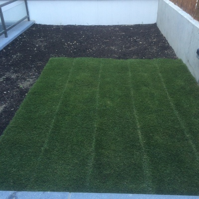 Jardin